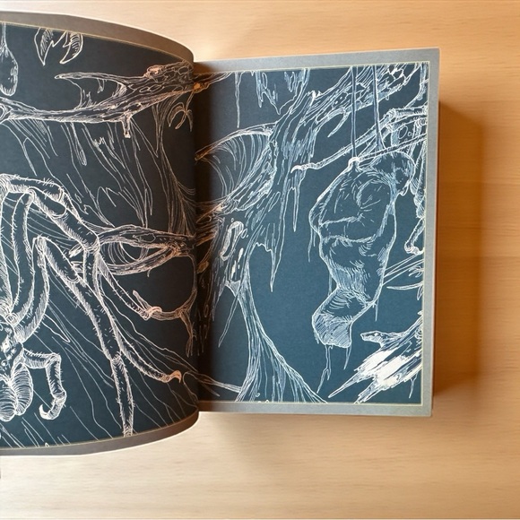 David Day Tolkien Flexibound Set – An Atlas & Dark Powers of Tolkien Illustrated - Picture 8 of 16